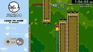 Final Test Levels Playthrough || Learn to Kaizo