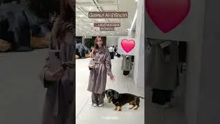 With AI dog so cute 🐶 #hausnowhere #seoul