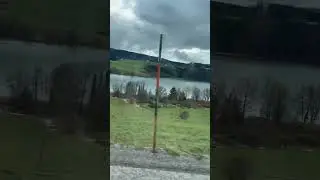 Austria Mattsee #shorts #drive #driver #lake #view