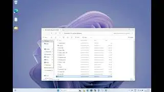 Setting RockMiner U10