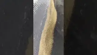 Gold washing shaker #machine