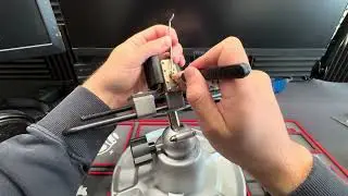 Paclock 100G picked (unguttable) 