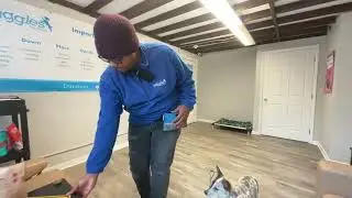 Ozzie- Working on sit, look, down, off, place, recall, leash walking and table surfing.
