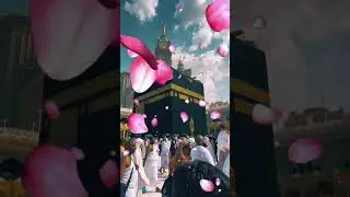 Kuran Pak ki 8 khubsurat baten#Islamic short video#madina munawara Makka munawara short video#lovemK