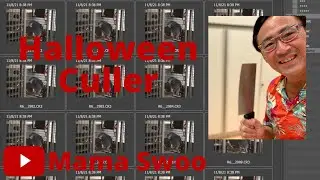 Mama Swoo Uses FastRawViewer to Cull Photos