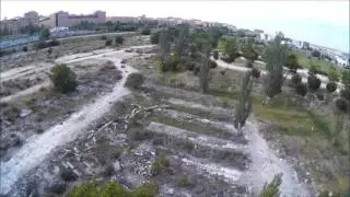 fpv paradise treedancing vicrenfe