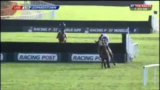 Vautour Killiney Leopardstown Novice Chase (G2) 2015