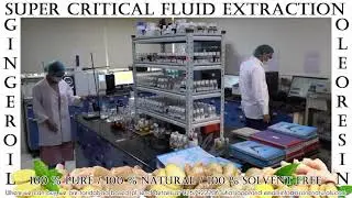 Super Critical Fluid Extraction Ginger Oil, Oleoresin & Essential Oil (SCFE)