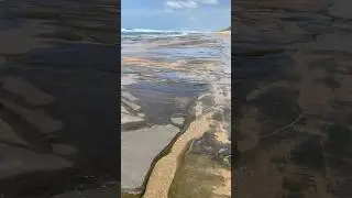 БЕРЕГ ИНДИЙСКИЙ ОКЕАН INDIAN OCEAN COAST #океан #берег #побережье #ocean #indian #africa #африка