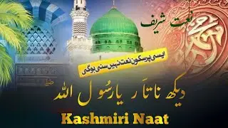Dekh Na Taar Ya Rasool Allah ﷺ | Kashmiri Naat Without Music | @IshfaqRashied #kashmirinaat 