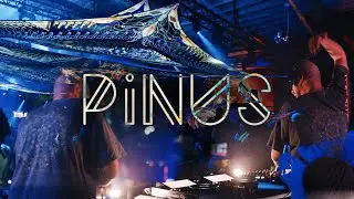 PiNUS FULL SET VIDEO @ NEBULA w/ OMIKI 17.01.2026