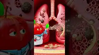 Apple Health Benefits 🍎💪 | Eat Smart #Shorts