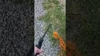 How to kill driveway grass with gasoline
