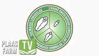Wie is Antrovet? / Behandeling van lewerslak: Farm TV - 22 April 2022