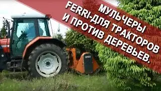 мульчер Ferri TFC/F 1800 и трактор Fergusson 6270