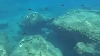 Spearfishing in Fournoi Thimaina Ikaria August of 2023