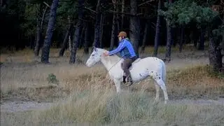 Freestyle riding & trick training in the forest [Joyce & Indy]