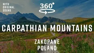 Hiking Down the Carpathians 🇵🇱 | Zakopane 360&deg; Nature Walk