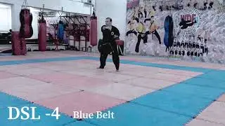 Kata of Docando,DSL 8-1