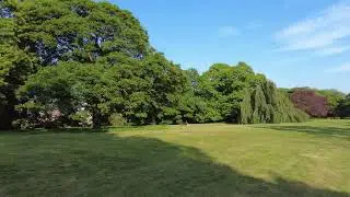 The real Acton Park in Wrexham