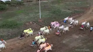 मालक केसरी बैलगाडा शर्यत २०२४ सांगोला || बाळासाहेब एरंडे व प्रंशात वलेकर यांच्या वाढिवसानिमित्त
