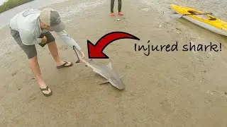 INFESTED with Big Ladyfish & Sharks | The Three Bridges in Spruce Creek