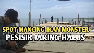 SPOT MANCING PESISIR DESA JARING HALUS
