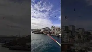 Seascape is in İstanbul