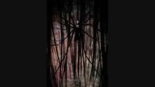 The Slender Man - Radio Waves
