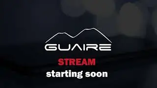 Guaire Dev Stream - creating a Discord bot connected to a free local AI using Oobabooga API