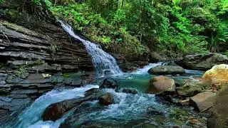 Waterfall Sounds for Sleeping, River Sounds for relaxation, Water Sounds for stress relief #1