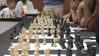 Grandmaster Judit Polg&aacute;r is using chess to revolutionise children's education