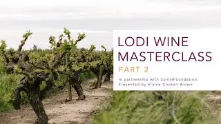 Lodi Wine Masterclass with SommFoundation Part 2