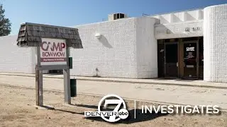 Records reveal series of violations at Camp Bow Wow location in Littleton