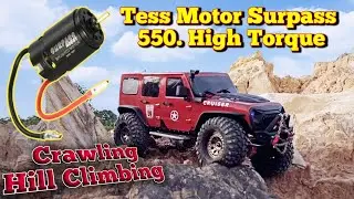 Rc Offroad 4x4 - Surpass Hobby 550 Brushed Motor // RGT 86100 V2 : Hill Climbing ‼️Rc Car
