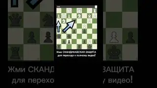 КРАСИВЫЙ МАТ! #шахматы