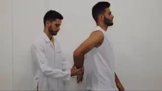 Teste de Gerber