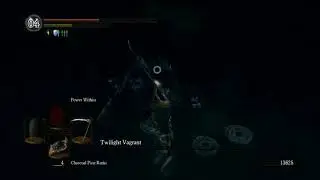 Dark souls daughters of ash. Бонус. Долбанный бессмертный краб (Twilight Vagrant)
