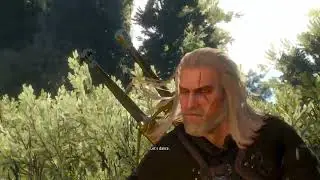 Witcher 3 Deathmarch guide #58: White Lady Contract