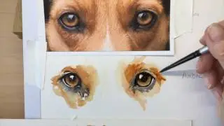 How to paint a dog's amber eyes