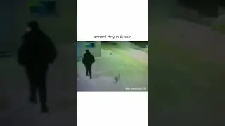 🐱 : hey man did you see three cats running?