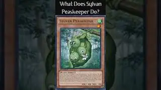 What Does Sylvan Peaskeeper Do? (Yugioh Cards Explained for Easy Deck Building)
