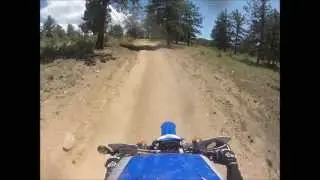 Colorado Dirt Hooligans