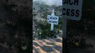 Beach Access | Minute of Zen