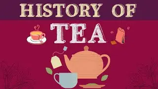 Evolution Of Tea - Where did the tea come from? - History Of Tea - Explained In Hindi - 404 Found YT