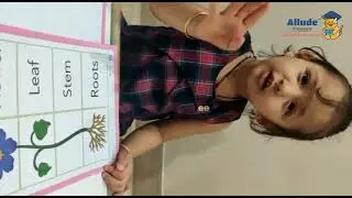 Live Online Preschool Classes | Interactive Virtual Class at Home | Allude Preschool