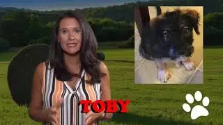 Grendalyn Roberts Morton with WBON tv
