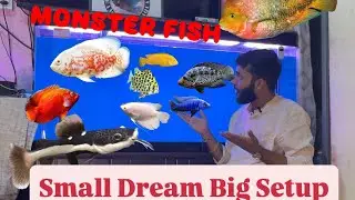 Monster Need to Release in New Monster fish Tank #monsterfishtank #fish #aquarium 
