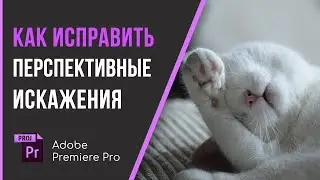 Как исправить заваленный горизонт, перспективные искажения, перспективу на видео в Premiere Pro?