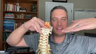 Chiropractic Adjustments for Ear Infections